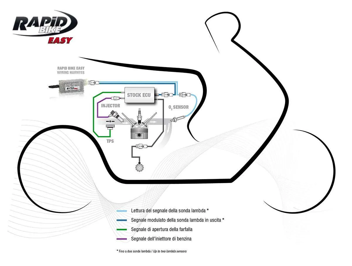 Rapid Bike EASY