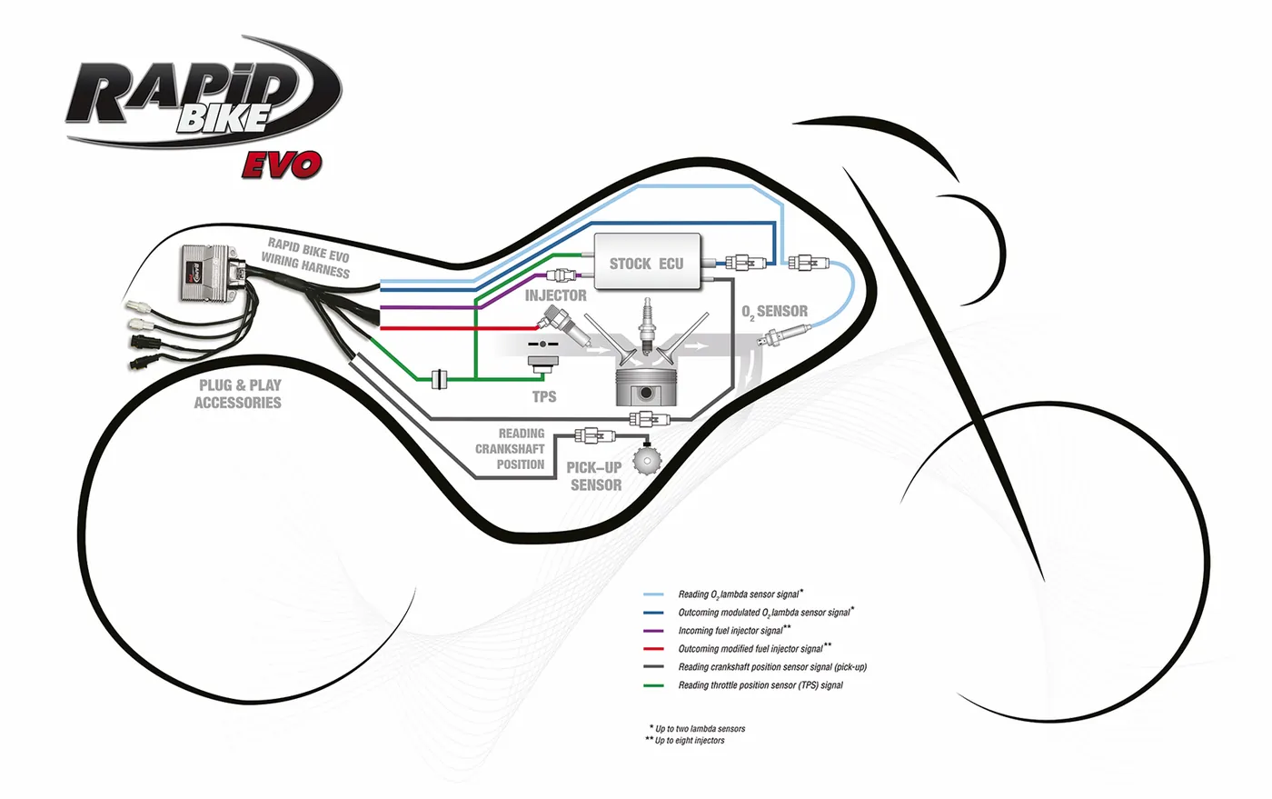 Rapid Bike EVO